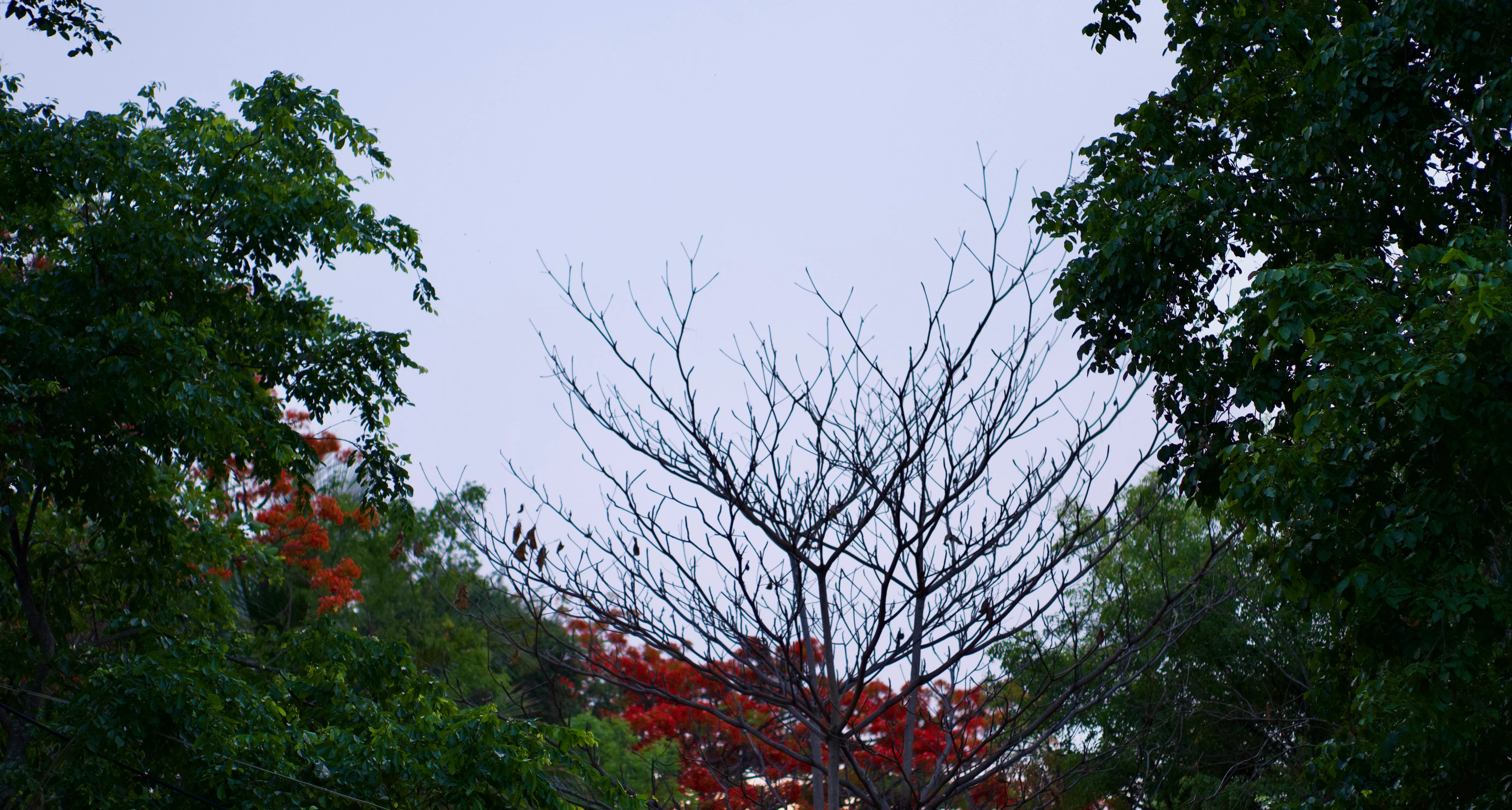 Tranquil Moments